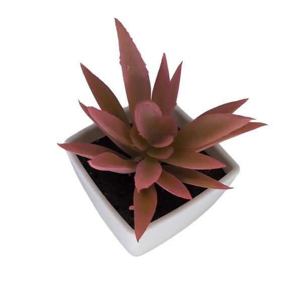 Mini Fake Faux Artificial Pink Succulent Potted Plant in Plastic White Pot - GUC - Picture 1 of 10